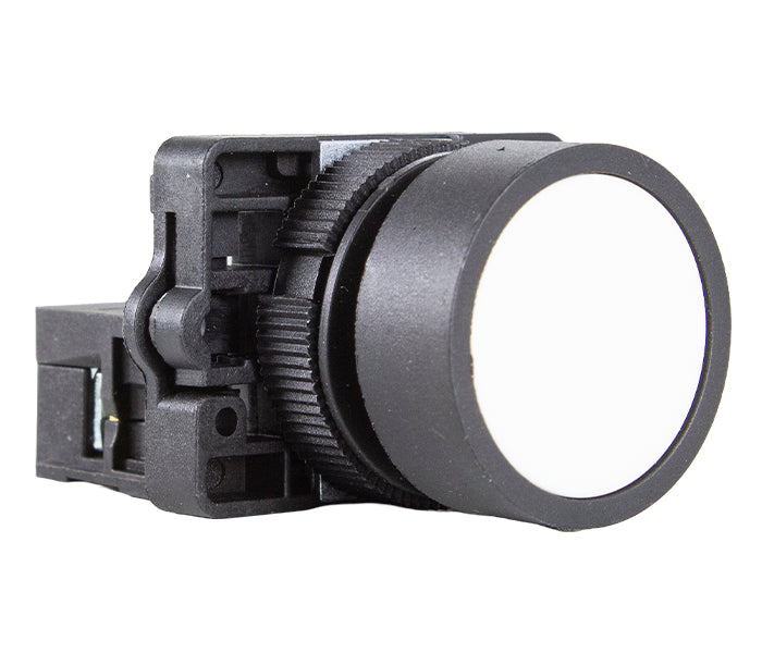 Pushbutton P20 Plastic 22mm